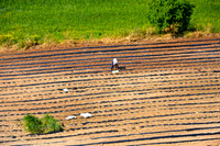 Farmers in Field (2)