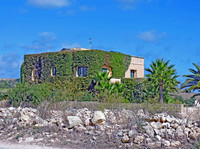 Gozo House (2)