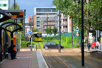 Manchester 2013 (15)