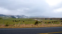 South Island