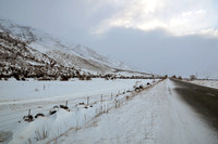 South Island