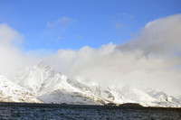 South Island