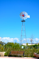 Ta Qali Petting Farm (9)