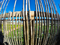 Field Gate