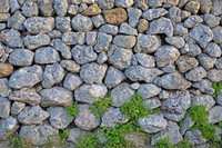 Rubble Wall (2)
