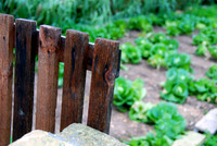 Gate (2)