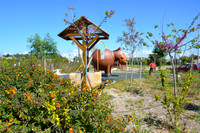 Ta Qali Petting Farm (2)