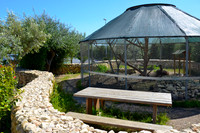 Ta Qali Petting Farm (3)