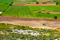 Farmers in Field (5)