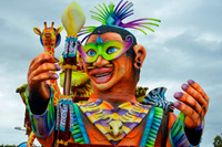 Malta Carnival 2014 (11)